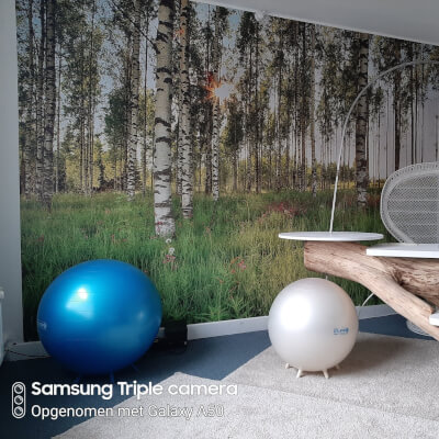 Van Camp, Ingrid Ingrid Van Camp