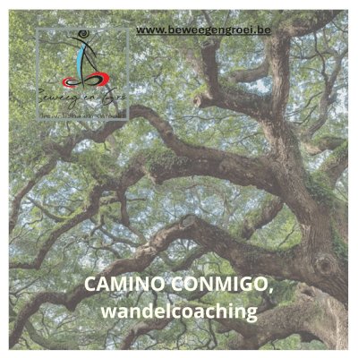CAMINO CONMIGO, wandelcoaching CAMINO CONMIGO, wandelcoaching