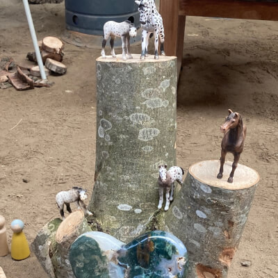 Desmet, Lesley Lesley Desmet