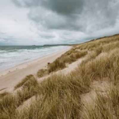 Servayge, Ine Ine Servayge