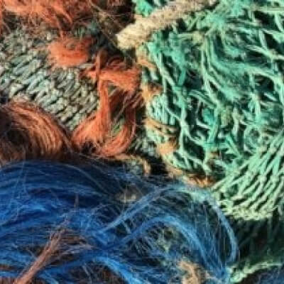 Servayge, Ine Ine Servayge