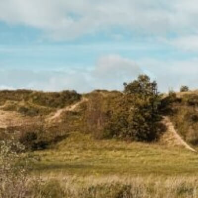 Servayge, Ine Ine Servayge