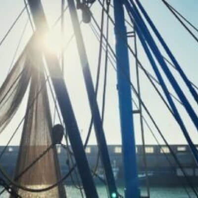 Servayge, Ine Ine Servayge