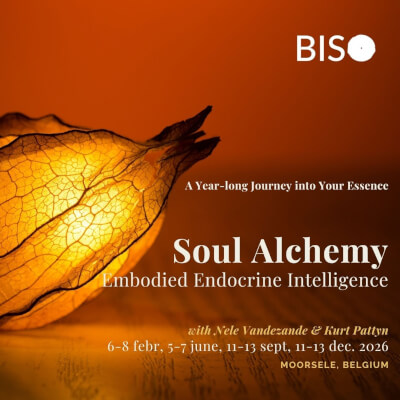 Soul Alchemy - Embodied Endocrine Intelligence