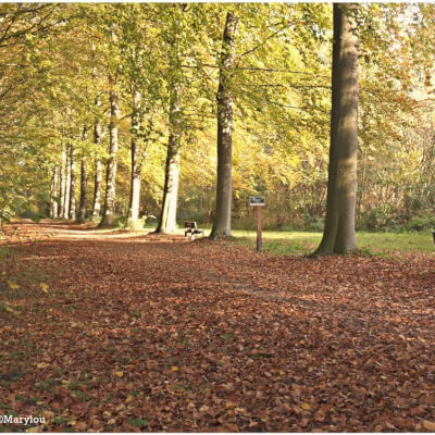 Omgaan met eenzaamheid - introductie