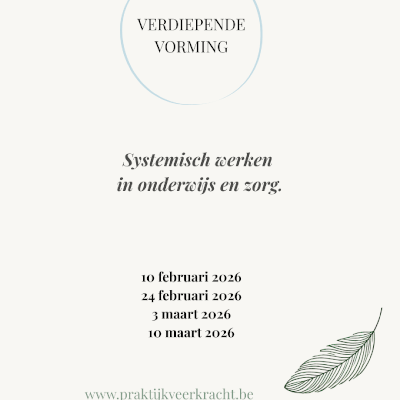 Verdiepende vorming Systemisch werken in onderwijs en zorg