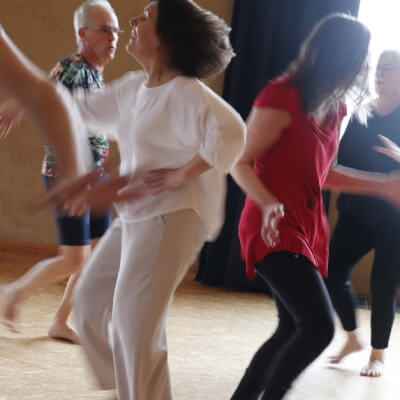 Soul Alchemy - Embodied Endocrine Intelligence