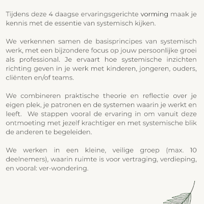 Verdiepende vorming Systemisch werken in onderwijs en zorg