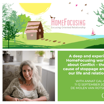 HomeFocusing Training for Advanced Focuserd -Conflict