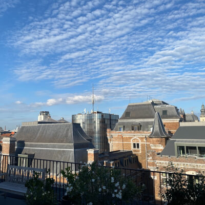 Katrien Van de Walle