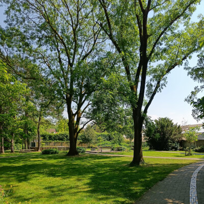 Van Acker, Bram Bram Van Acker