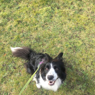 Honings, Leen Leen Honings