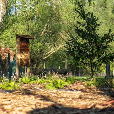 De Rop, Liesbeth Liesbeth De Rop