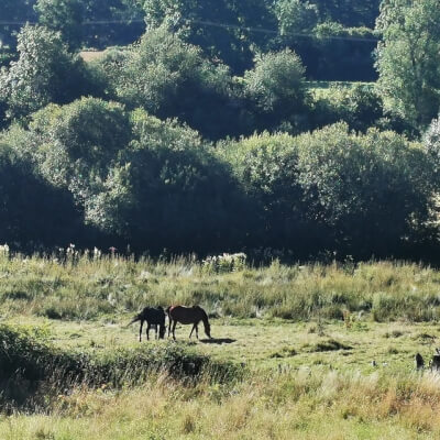 Karolien Bruyninckx, Karolien Bruyninckx