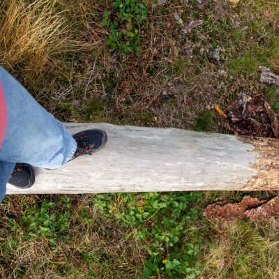 Pauwels, Brenda Brenda Pauwels