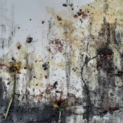 Ornelis, Kristel Kristel Ornelis