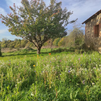 Karolien Bruyninckx, Karolien Bruyninckx