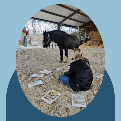 Meander, Hippotherapie Hippotherapie Meander