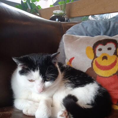 Van Baelen, Cora Cora Van Baelen