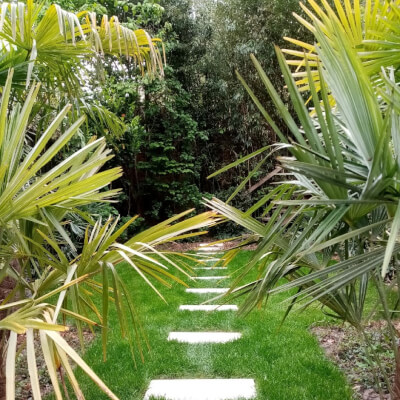 deboeck, stijn stijn deboeck