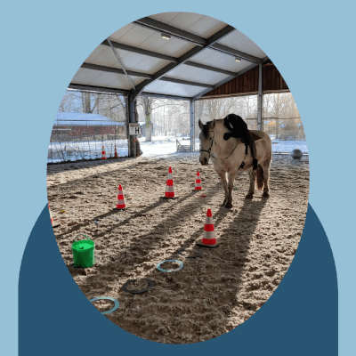 Meander, Hippotherapie Hippotherapie Meander