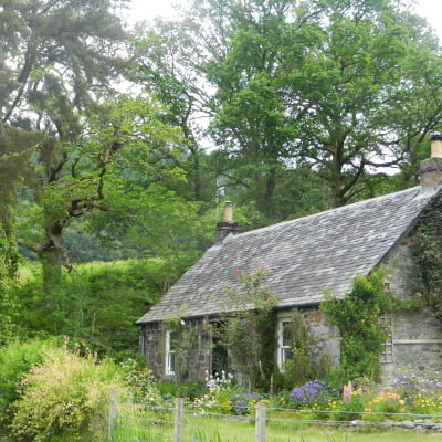 Draulans, Bie Bie Draulans