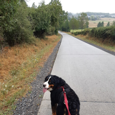 Thoen, Anneleen Anneleen Thoen