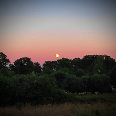 Karolien Bruyninckx, Karolien Bruyninckx