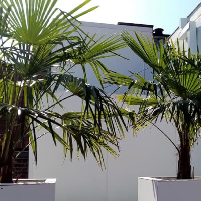 deboeck, stijn stijn deboeck