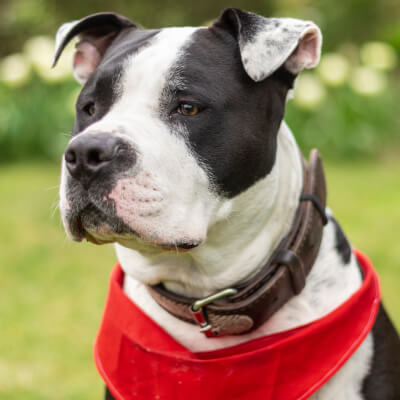 Van Baelen, Cora Cora Van Baelen