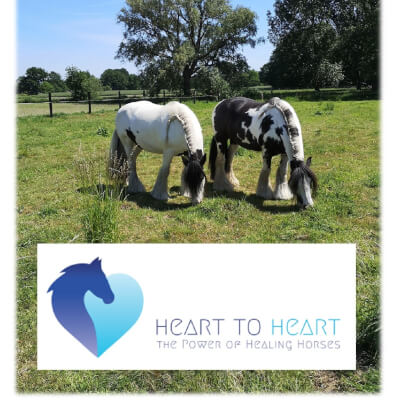 Van Hees, Godelieve Godelieve Van Hees