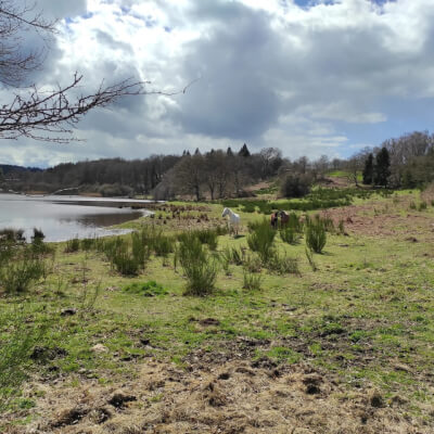 Karolien Bruyninckx, Karolien Bruyninckx