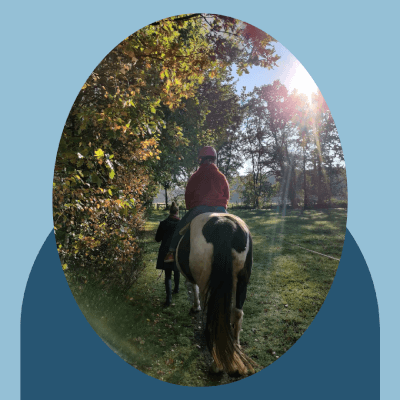 Meander, Hippotherapie Hippotherapie Meander