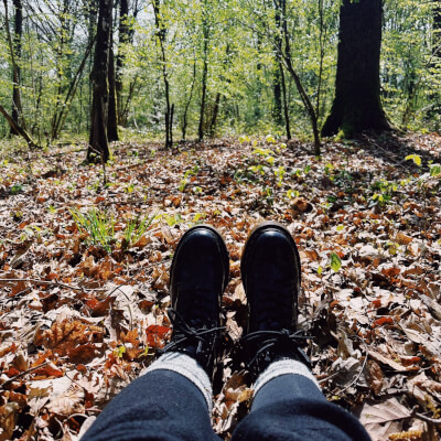 Dissenbergen, Mountschia Mountschia Dissenbergen