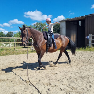 Lenaerts, Lotte Lotte Lenaerts