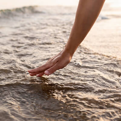 Servayge, Vanessa Vanessa Servayge