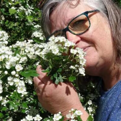 School voor Westerse Natuurgeneeswijzen, School voor Westerse Natuurgeneeswijzen