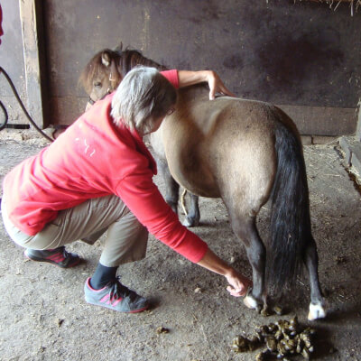 van reeth, CHANTAL CHANTAL van reeth