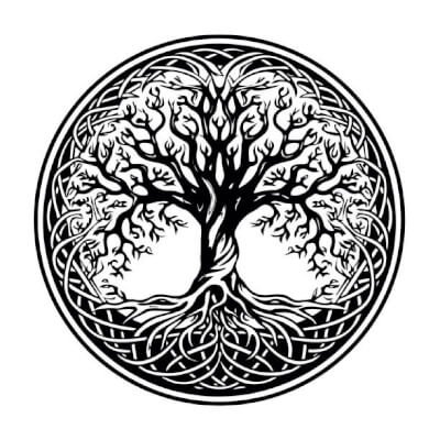 Van Hoeck, Evi Evi Van Hoeck