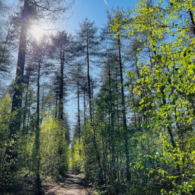 Bormans, Tessa Tessa Bormans