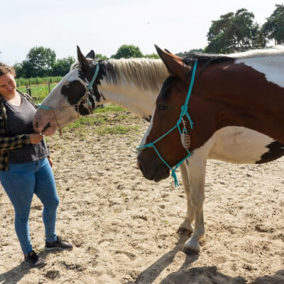Van Rooy, Tine Tine Van Rooy