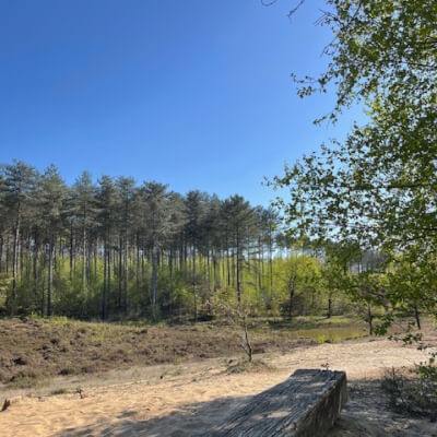 Bormans, Tessa Tessa Bormans