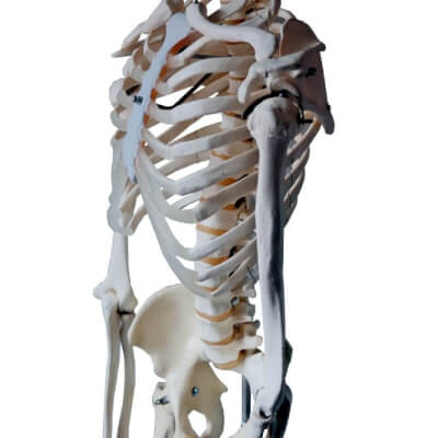 Oosters, Steven Steven Oosters