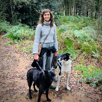 Paelinck, Lies Lies Paelinck