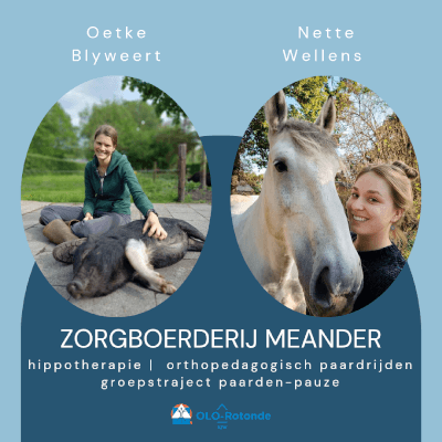 Meander, Hippotherapie Hippotherapie Meander