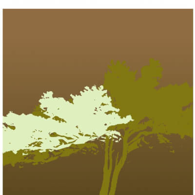 Quintens, Els Els Quintens